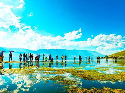 昆明、大理、麗江雙飛六日游