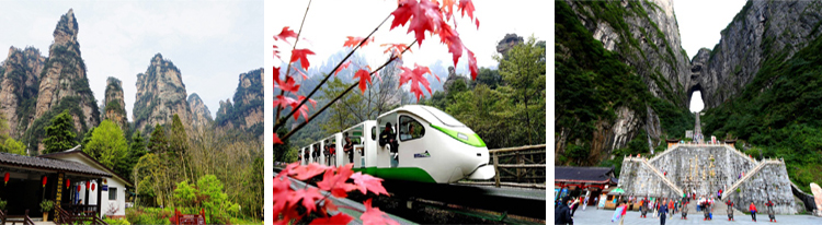 張家界跟團(tuán)游,張家界自由行,張家界自駕游,張家界中國(guó)國(guó)際旅行社有限公司 張家界跟團(tuán)游,張家界自由行,張家界自駕游,張家界中國(guó)國(guó)際旅行社有限公司