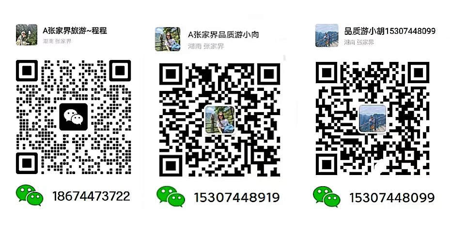 張家界跟團(tuán)游,張家界自由行,張家界自駕游,張家界中國(guó)國(guó)際旅行社有限公司 張家界跟團(tuán)游,張家界自由行,張家界自駕游,張家界中國(guó)國(guó)際旅行社有限公司